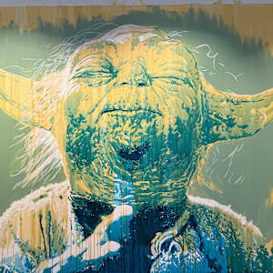 Yoda by Artist Allan Buch 