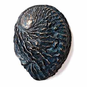 Perlemoen Shell by Sarah Heinamann Studio, Image 1.