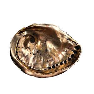 Perlemoen Shell by Sarah Heinamann Studio, Image 2.