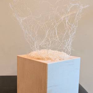 Unbearable Lightness by Roxas Arzt Studio by Anna Arzt