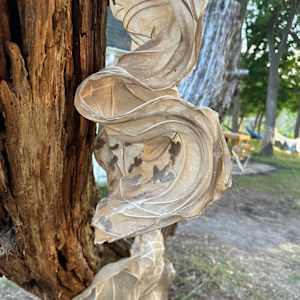 Cased Cicada II by Dave King 