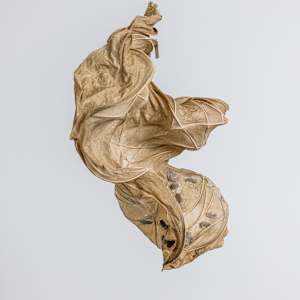 Cased Cicada II by Dave King 