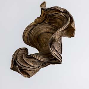 Spiral in Space by Dave King 