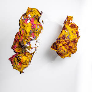Fall Garden I by Dave King 