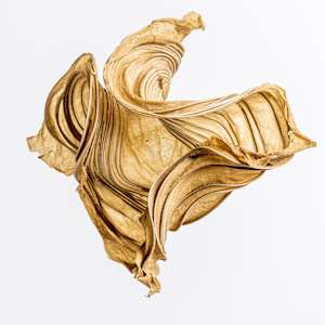 Translucent Spiral VII by Dave King 