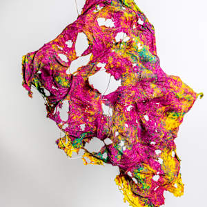Spring Garden I by Dave King 