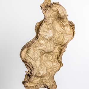 Translucent I by Dave King 
