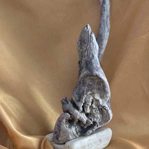 The Wise Wizard of Lake Erie by Tami Hritzay