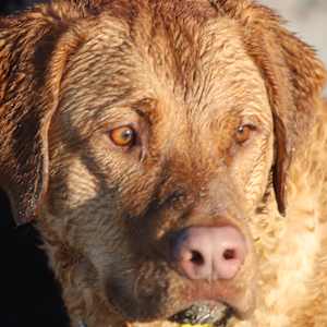 Young Man just flippin' by Tami Hritzay  Image: Just Look