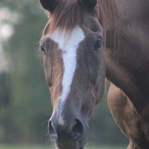 Young Man just flippin' by Tami Hritzay  Image: Just a Look