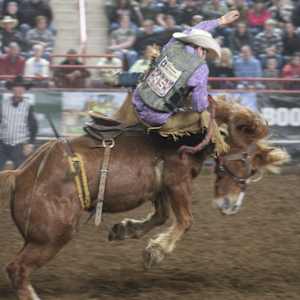 Young Man just flippin' by Tami Hritzay  Image: Pa. Farm Show 2024