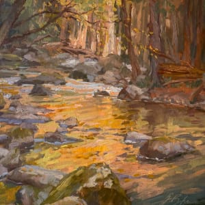 Cool Reflecting Warm on Middle Prong Little River by Suzie Baker
