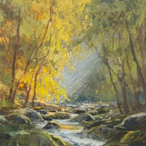 Woodland Glow by Suzie Baker