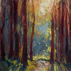 Into the Light by Suzie Baker