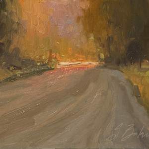 Shimmer by Suzie Baker