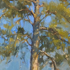 Waxing Moon over Pine by Suzie Baker