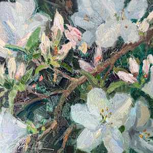 Shades of White by Suzie Baker, Image 1.