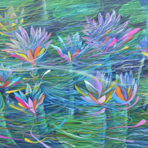 waterlilies by David Heatwole