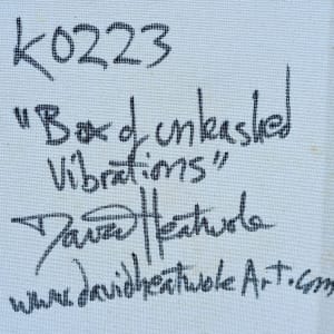 Box of Unleashed Vibrations by David Heatwole  Image: Signature and title on back of "Box of unleashed vibrations" by David F. Heatwole