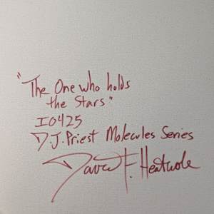 The one who holds the stars by David Heatwole  Image: back signature