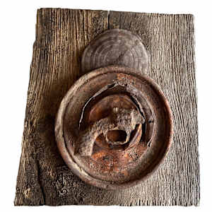 Toy by Andrea Dupree