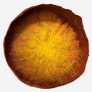 Solstice by Andrea Dupree