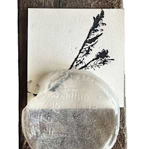 Tansy Mustard by Andrea Dupree