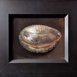 Abalone by Cleo Huggins, Image 1.