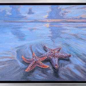 Starfish at Sundown by Cleo Huggins 