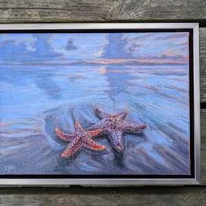 Starfish at Sundown by Cleo Huggins 