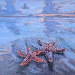 Starfish at Sundown by Cleo Huggins