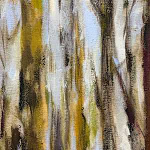 Lichtspiel by Astrid Steingrueber, Image 4.