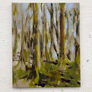 Lichtspiel by Astrid Steingrueber, Image 1.