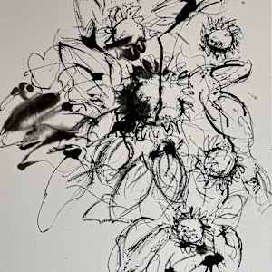 Sunflowers 2024 b/w by Astrid Steingrueber 