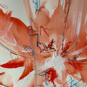 Red Lily No2 by Astrid Steingrueber  Image: detail