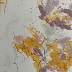 Pink Roselies No1 by Astrid Steingrueber  Image: close up