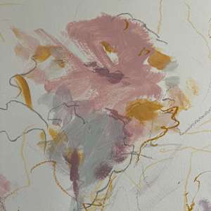 Pink Roselies No1 by Astrid Steingrueber  Image: close up