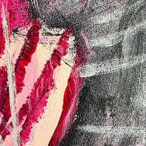 Pink flush by Astrid Steingrueber  Image: detail