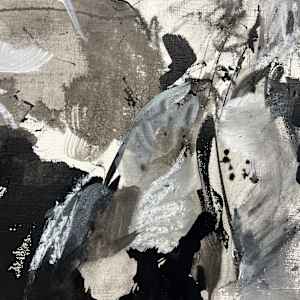 Noir Gardens by Astrid Steingrueber 