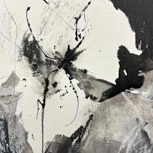 Noir Gardens by Astrid Steingrueber 