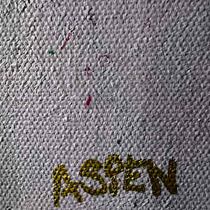 Cut Through All The Crazy by Annette Aspen  Image: Signature