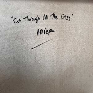 Cut Through All The Crazy by Annette Aspen  Image: Reverse - title & signature.
