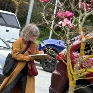 Vulcan Magnolia, San Francisco, February 18,  2025 by Rhonda Young, Image 4.