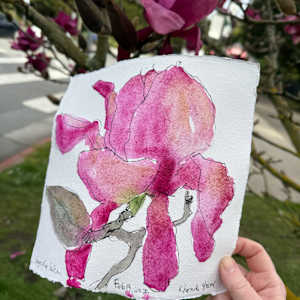Vulcan Magnolia, San Francisco, February 18,  2025 by Rhonda Young, Image 3.