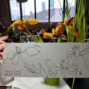 Tulips, February 5, 2023 by Rhonda Young, Image 2.