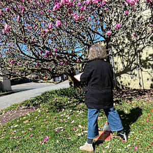 Magnolia Branch, Golden Gate Park, February 24, 2024 by Rhonda Young, Image 2.