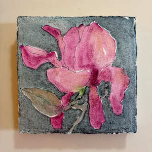 Vulcan Magnolia, San Francisco, February 18,  2025 by Rhonda Young, Image 2.