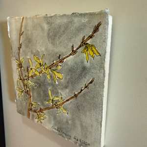 Forsythia, February 4, 2025 by Rhonda Young, Image 2.