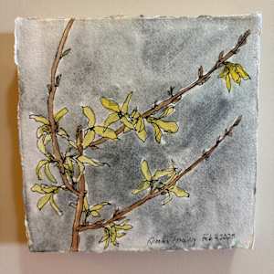 Forsythia, February 4, 2025 by Rhonda Young, Image 3.