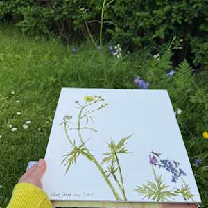 Regent's Park Buttercups and Bluebells by Rhonda Young, Image 2.